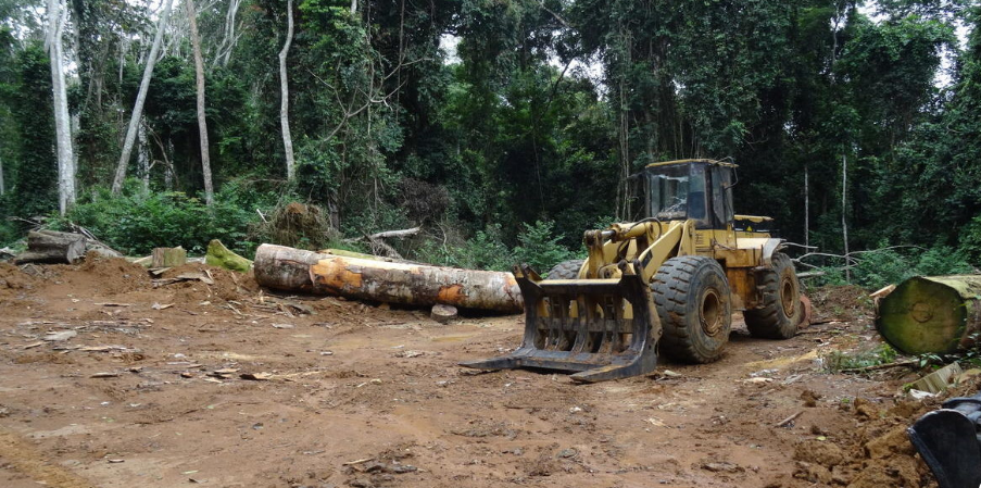 Forests & Finance: Certification for deforesters, and repression for an evicted community